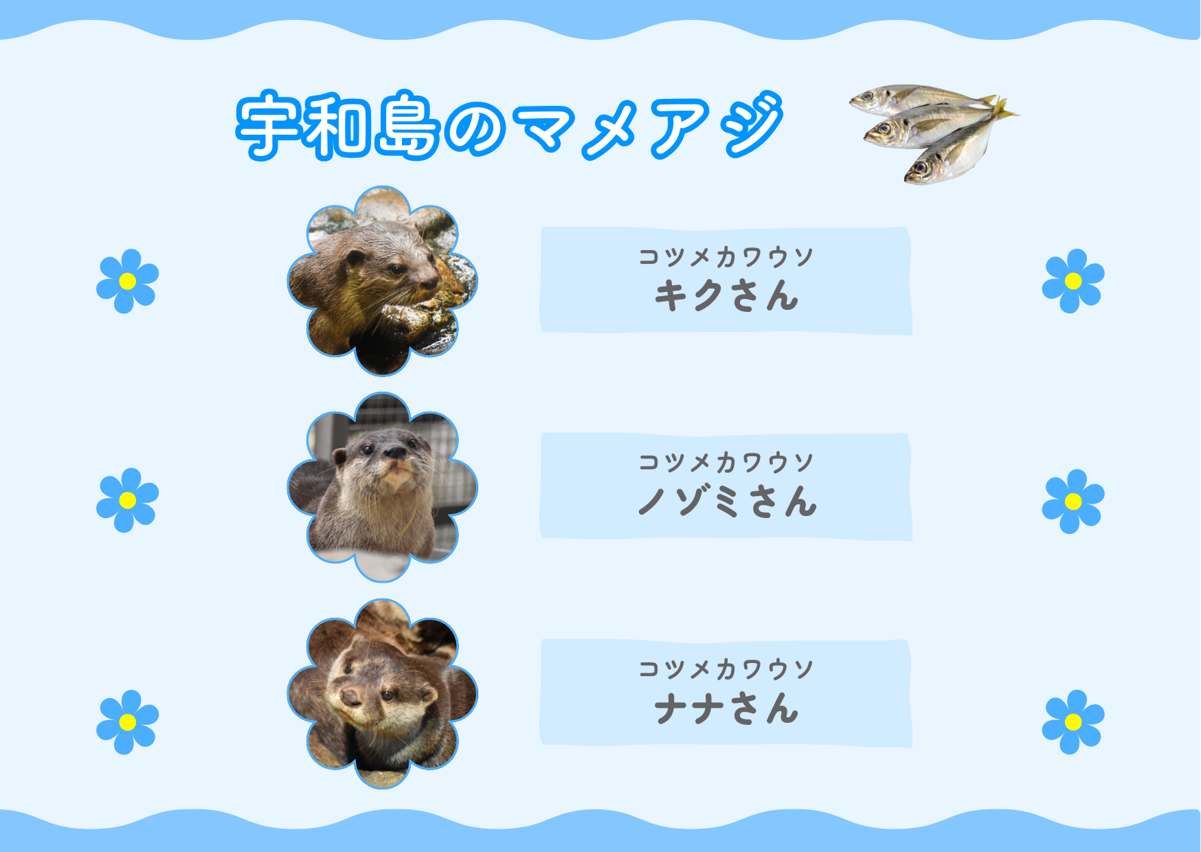 会員ログイン - Hello! OHANA
