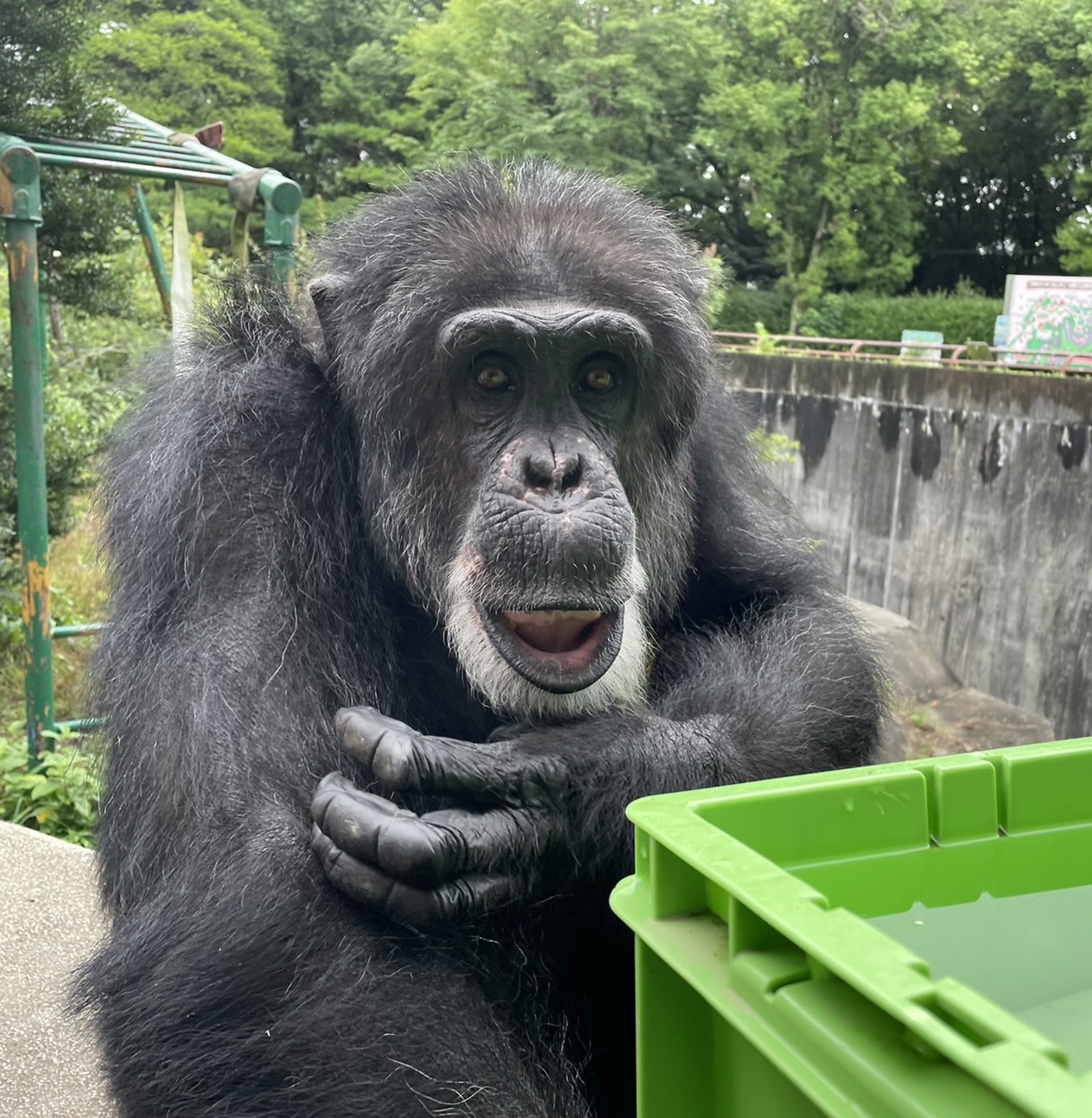 ec7067c1d4dfb760db38aeb649cd4d