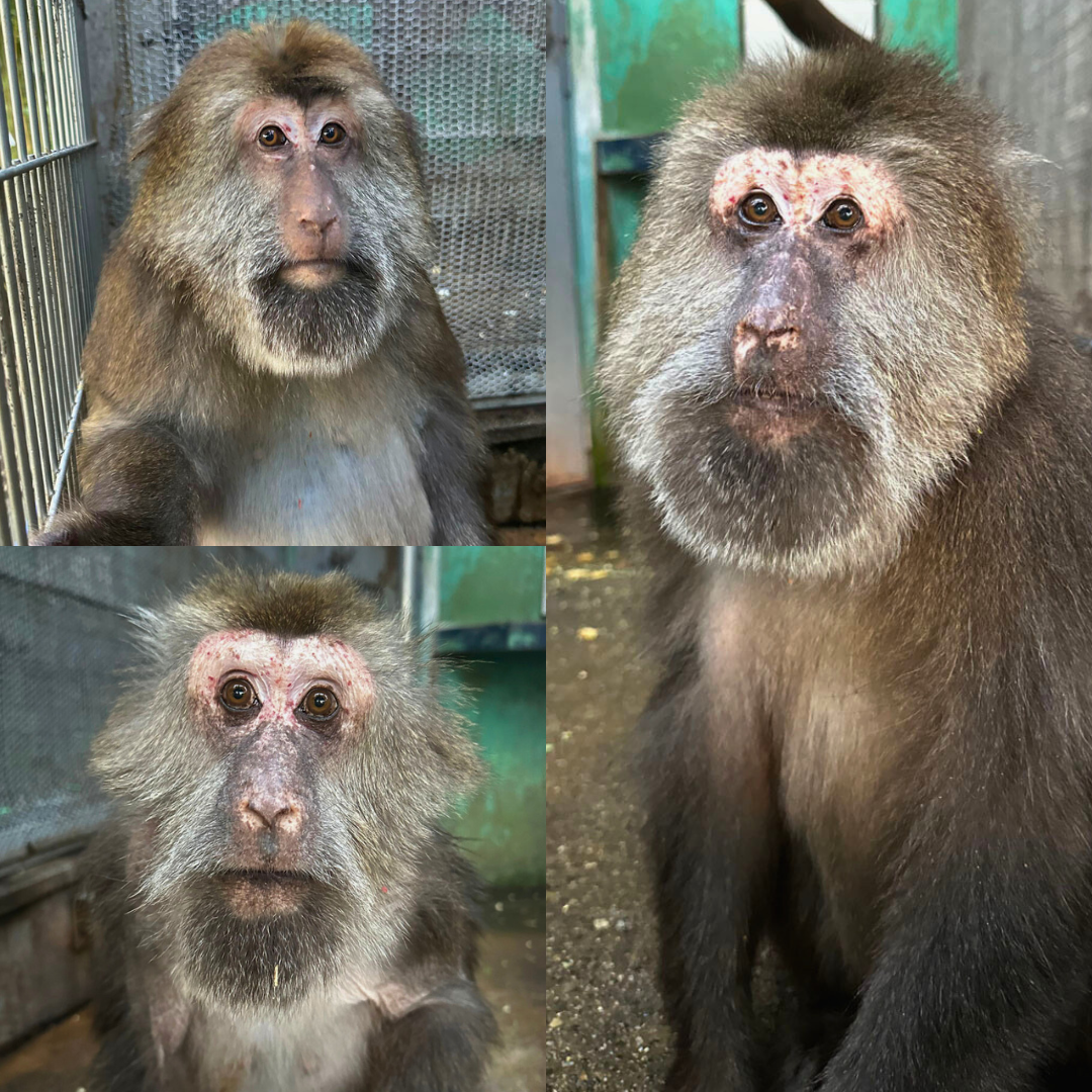3頭の皆さん