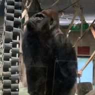 ビルバアサン