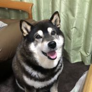 グッグフーム