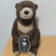 茶熊
